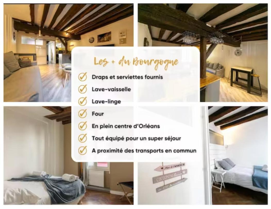 Appartamento Le Bourgogne-Hypercentre Orléans Esterno foto